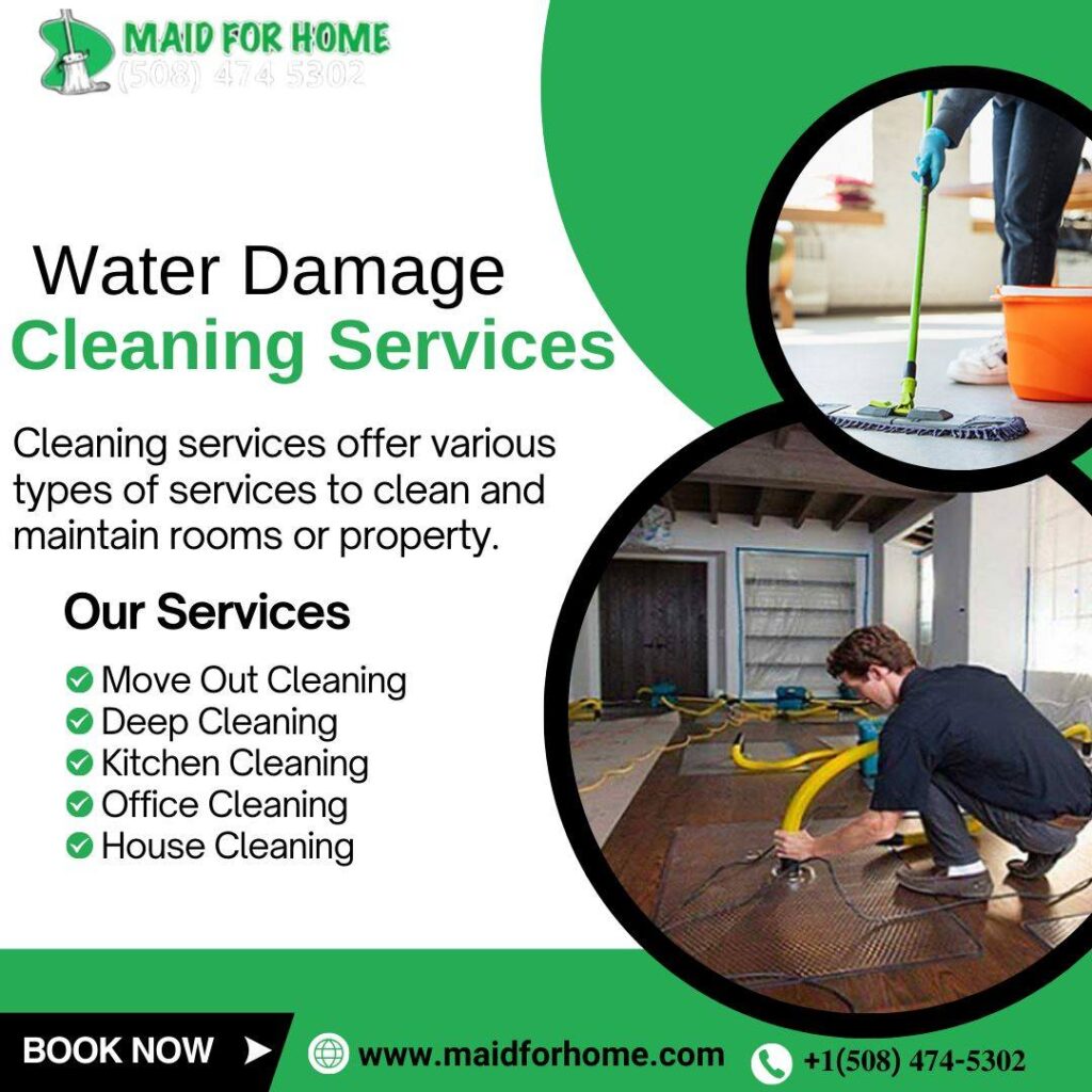 Restore Your Home with the Best Water Damage Clean-Up Services in Natick