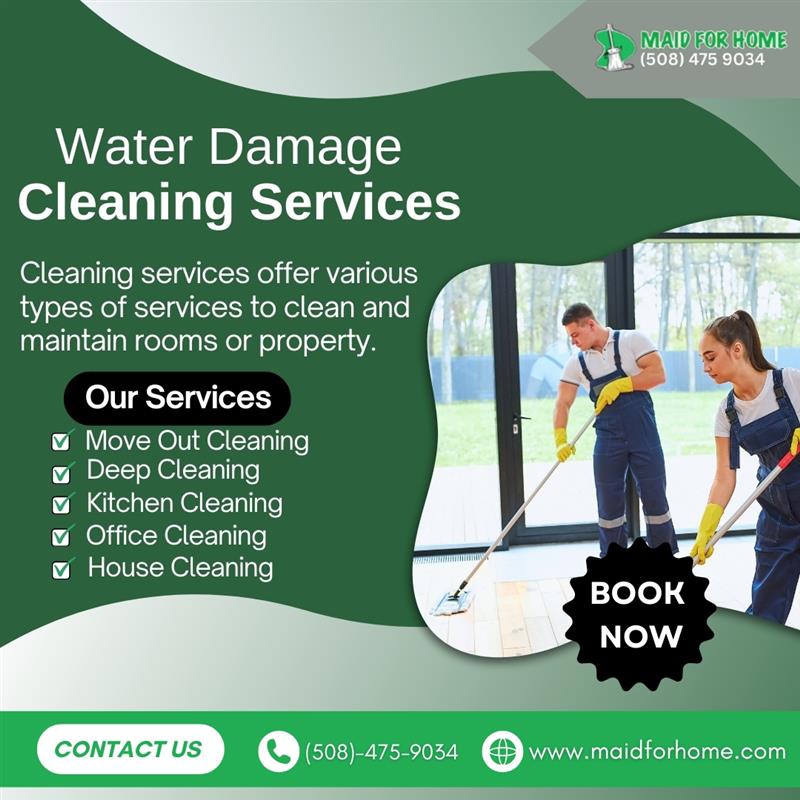 Best Water Damage Clean Up Services in Natick
