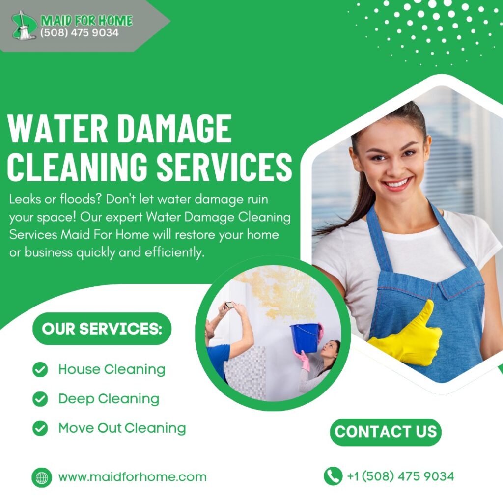 Steps for Effective Water Damage Cleanup in Natick