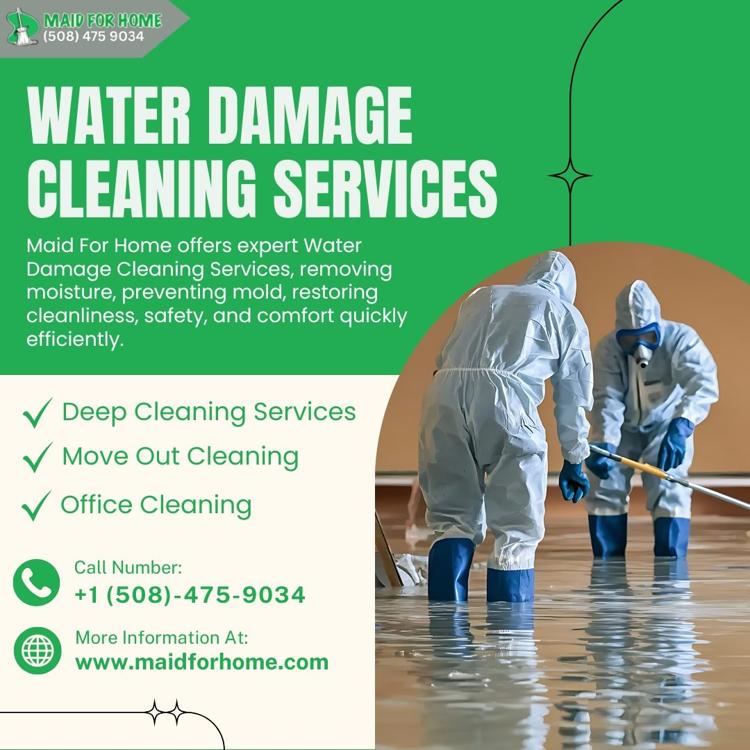 Can Water Damage Cause Mold? Homeowners in Natick Should Know This Kind a Thing